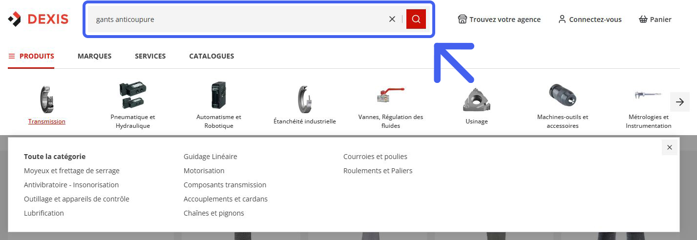DEXIS_Produit_TrouverunProduit_RechercherunProduit_4.JPG